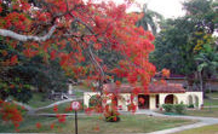 Hotel Viñales