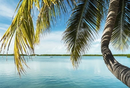 Magies de la Floride