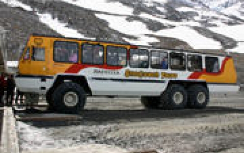 activity Bus des neiges sur le glacier Columbia Icefield