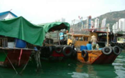 activity Village de pêcheurs de Tai O