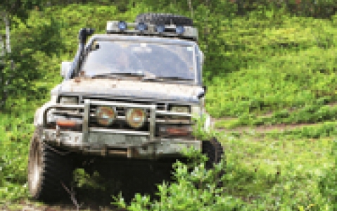 activity La forêt de Tijuca en Jeep