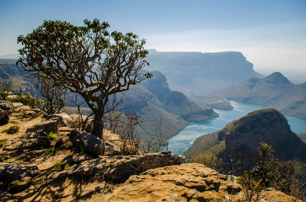 Bienvenue en Afrique du Sud !