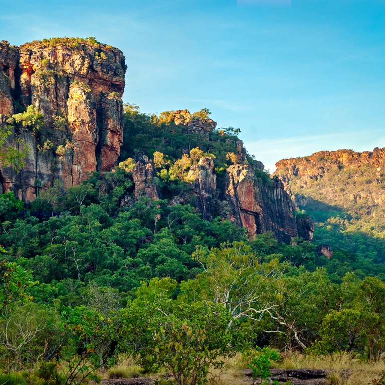 Le Temps du Rêve à Kakadu
