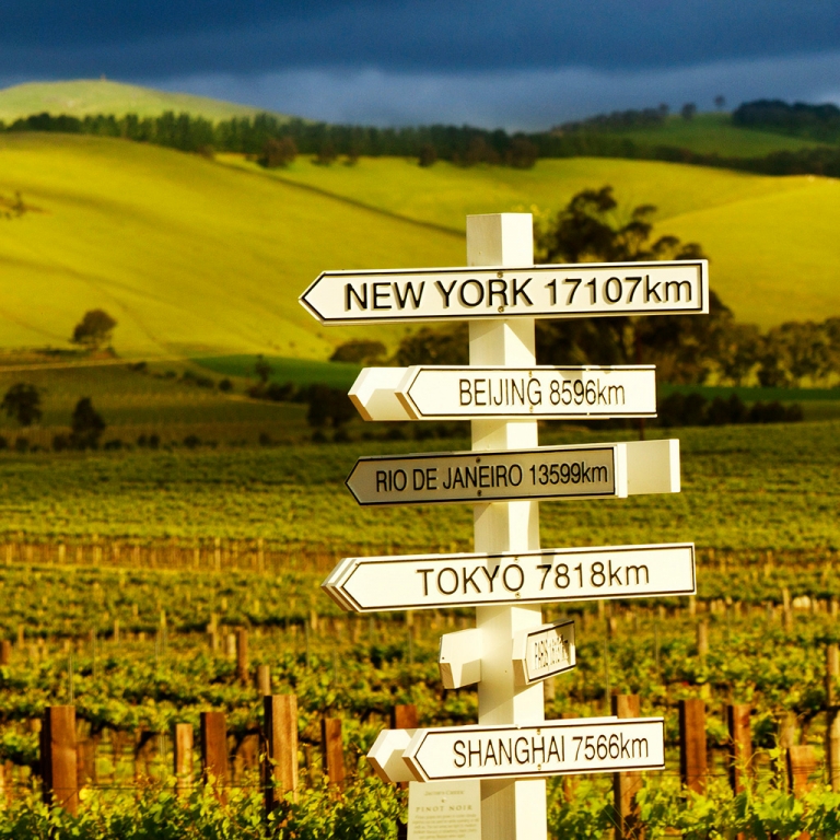 Flâneries et dégustations dans la Barossa Valley