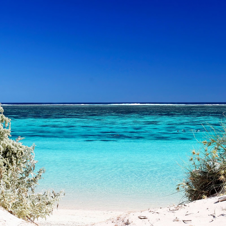 Exploration du Ningaloo Reef