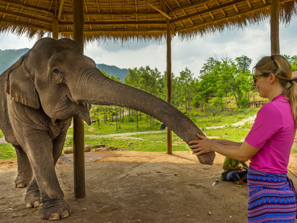Forêt tropicale et éléphants de Kalaw