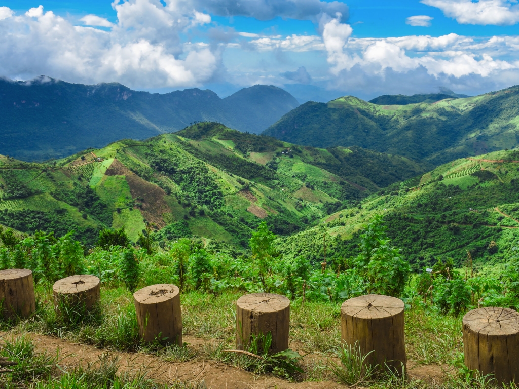 Début du trek entre Kalaw et Inle