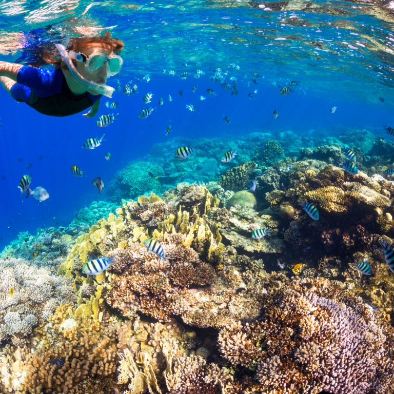 Réserve Naturelle Isla del Caño