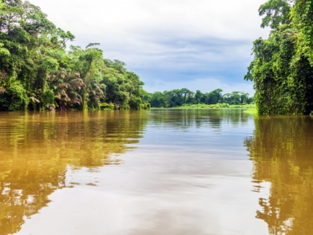 La magie de Tortuguero !