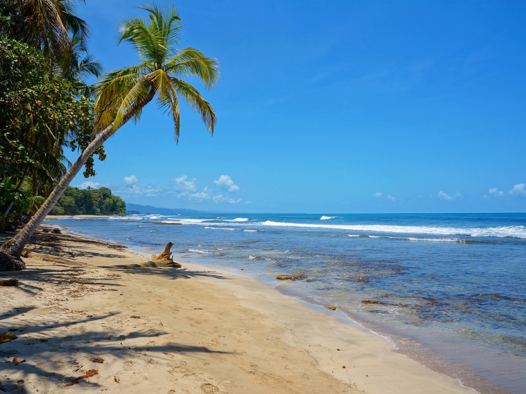 Cap sur les Caraïbes !