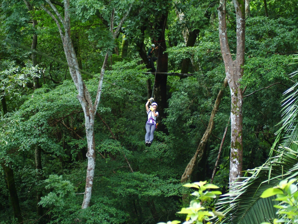 Volcan, nature et tradition