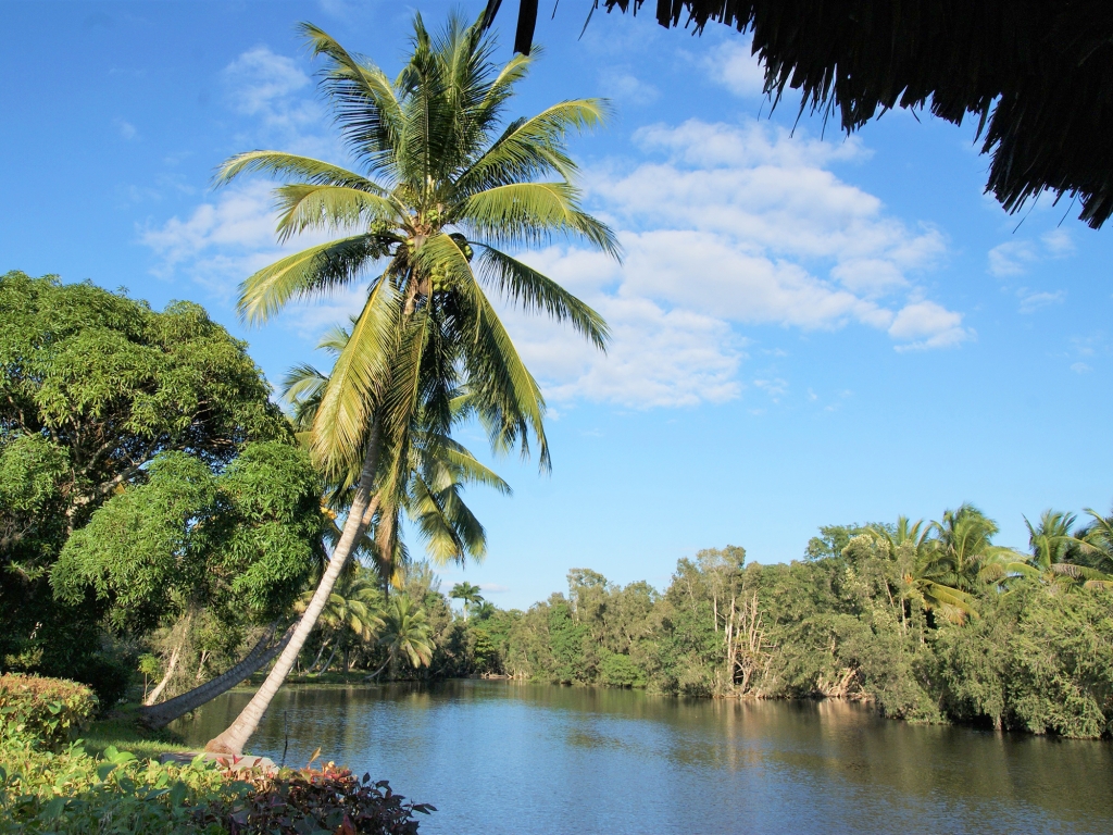 Découverte de la Cienaga de Zapata avant votre arrivée à La Havane