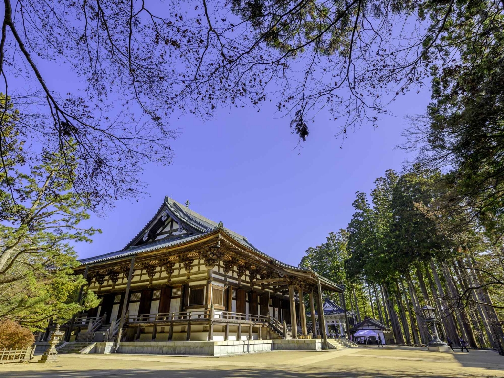 Au calme du Mont Koya