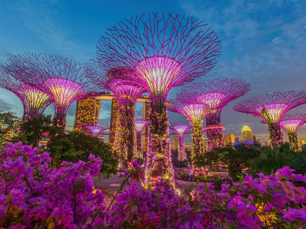 Vertigineuse Singapour