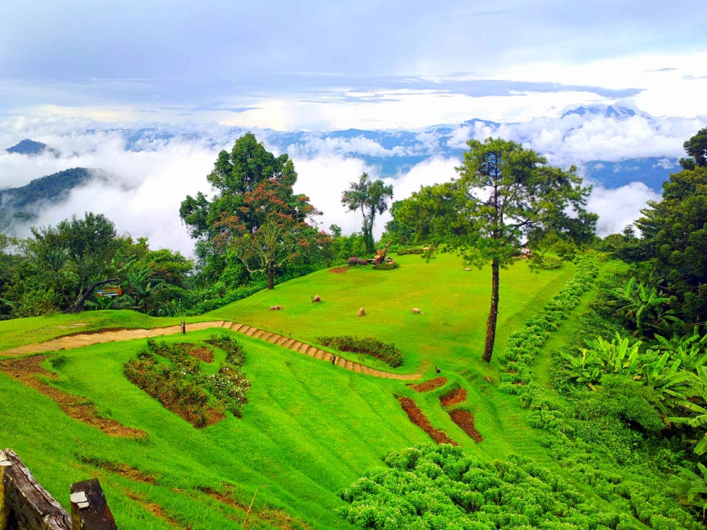 Collines et sentiers verdoyants de Chiang Mai
