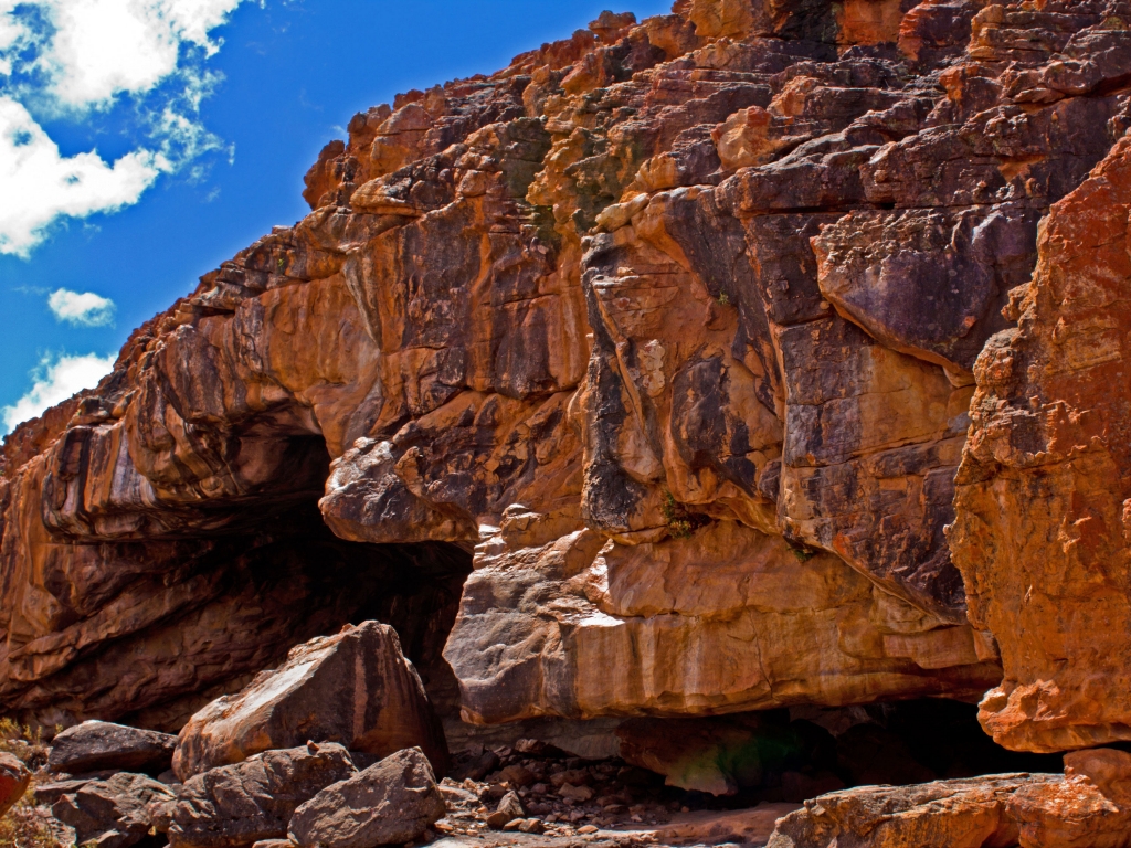 Balades dans la nature sauvage