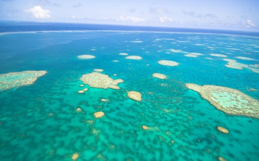 Journée libre de découverte de Cairns et sa région