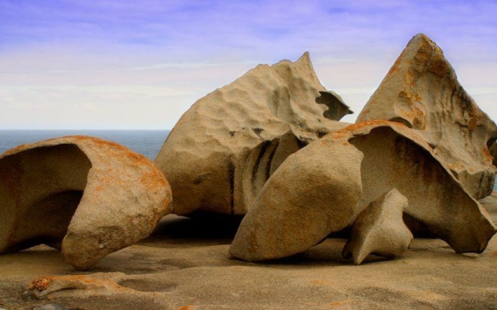 Visite de Kangaroo Island : journée libre