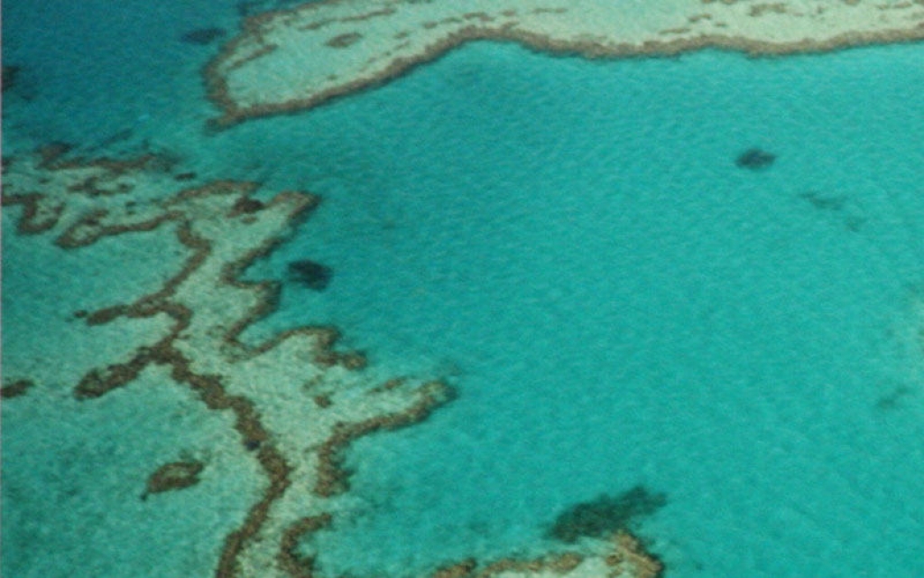 Croisière sur la Grande Barrière de Corail