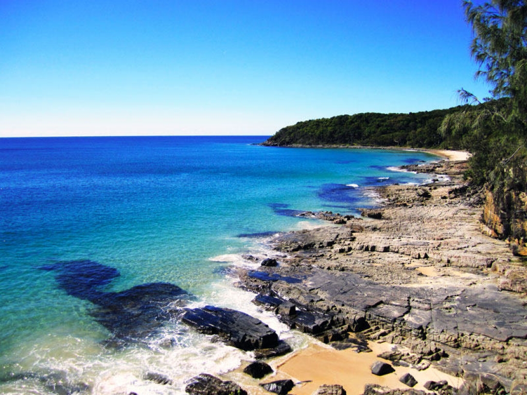 Découverte de la Sunshine Coast