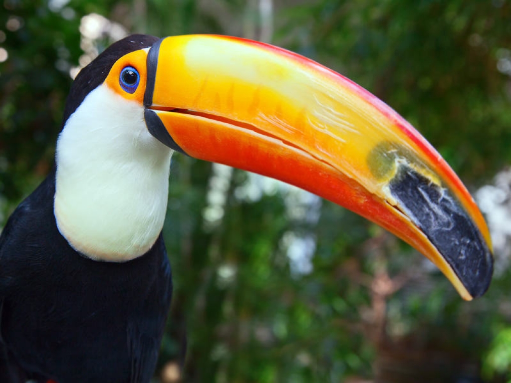 Découvertes de la nature environnante et rencontre avec les communautés