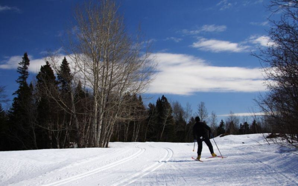 Le Parc de la Gaspésie