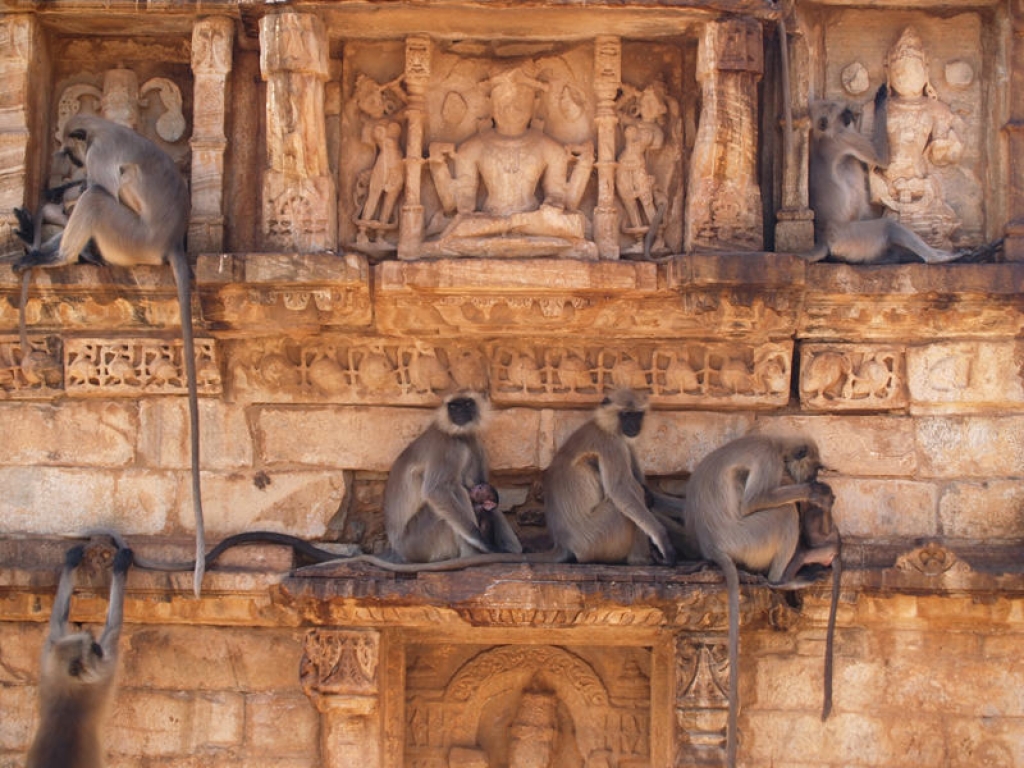 Visite de Chittorgarh