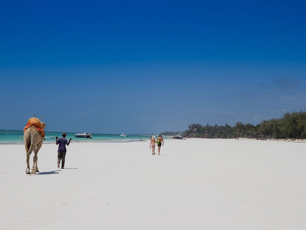 Envol vers l’Océan Indien