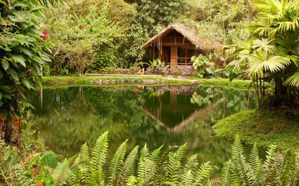 Rencontres en Amazonie