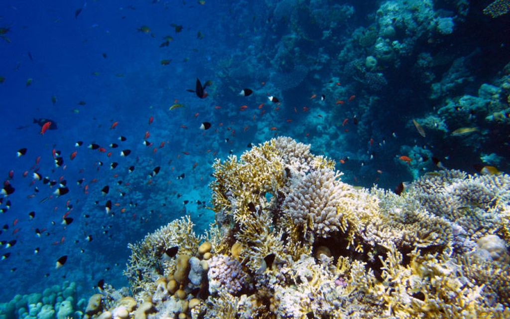 Exploration des fonds marins