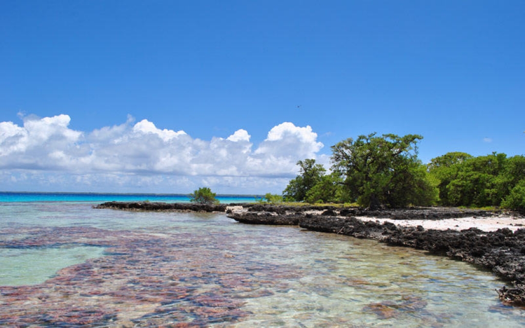 Excursion sur Tahaa, l’Ile Vanille