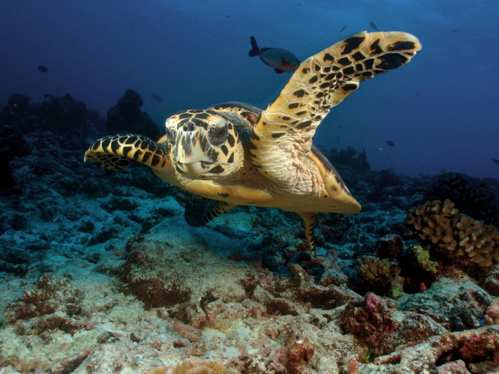 Aventure côté terre et côté mer