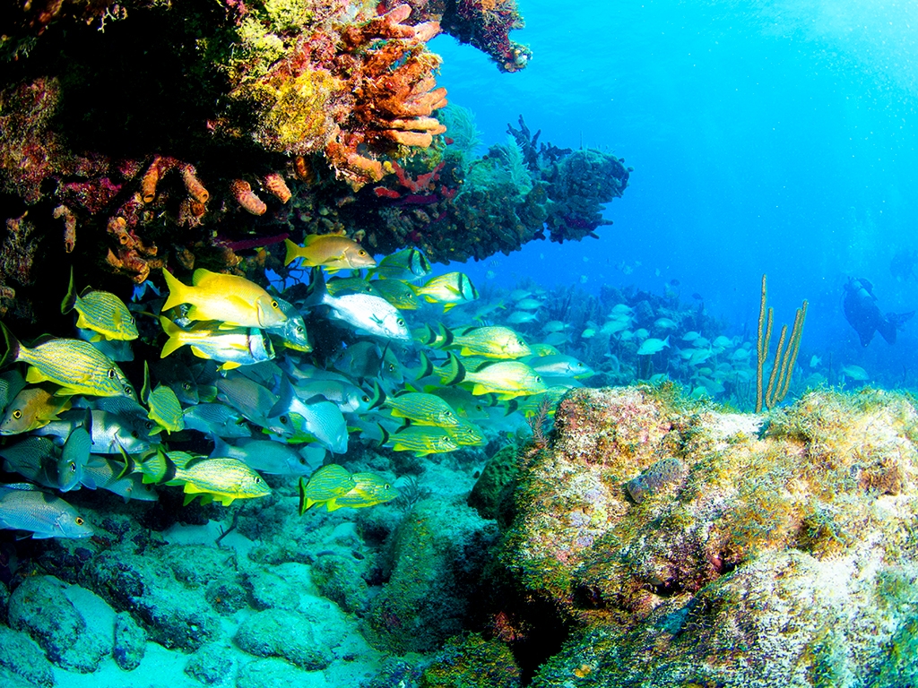 Key Largo