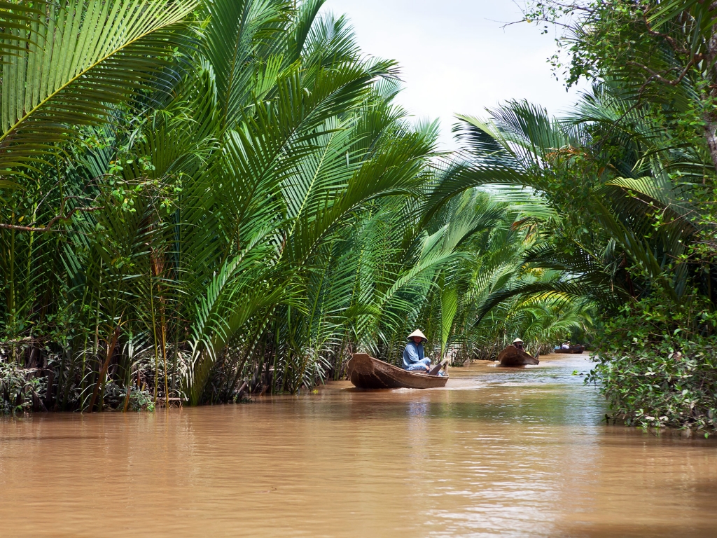 La mangrove de Can Gio