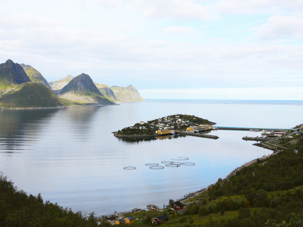 Le troll géant de l’île de Senja