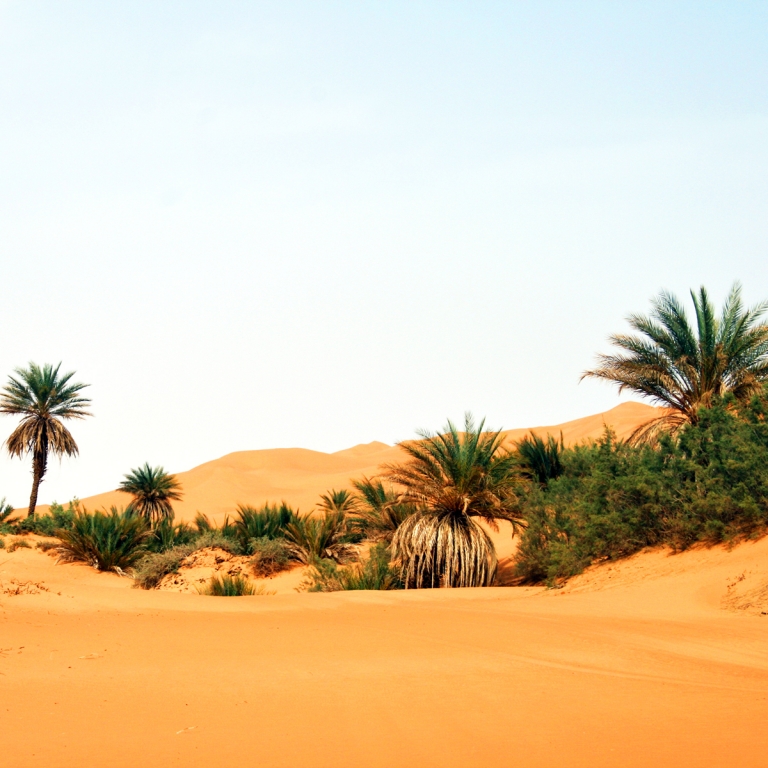 Immersion dans le Désert du Namib (360 km)