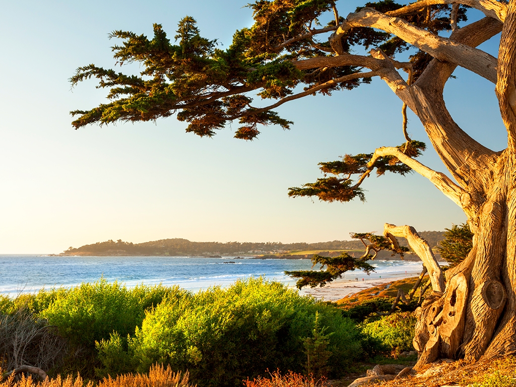 Vers la baie de Monterey