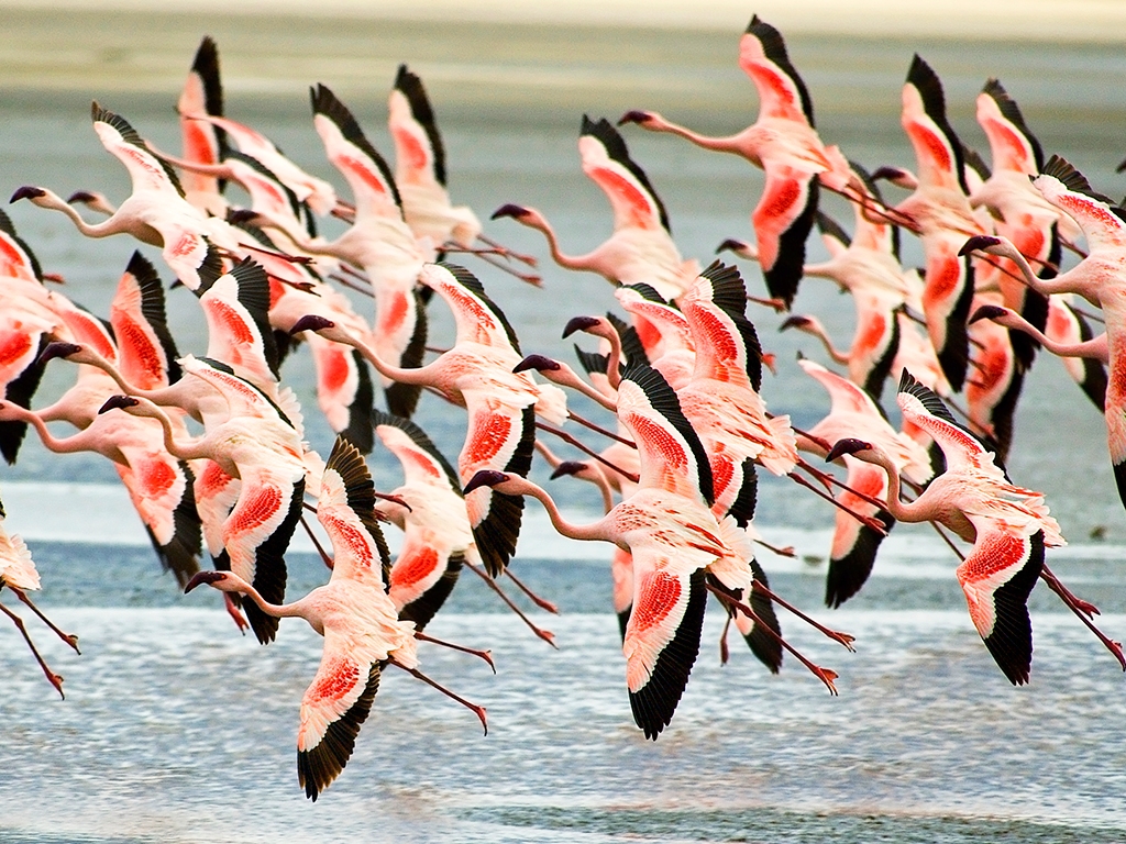 Merveilleux cratère Ngorongoro et rencontre avec les Masais
