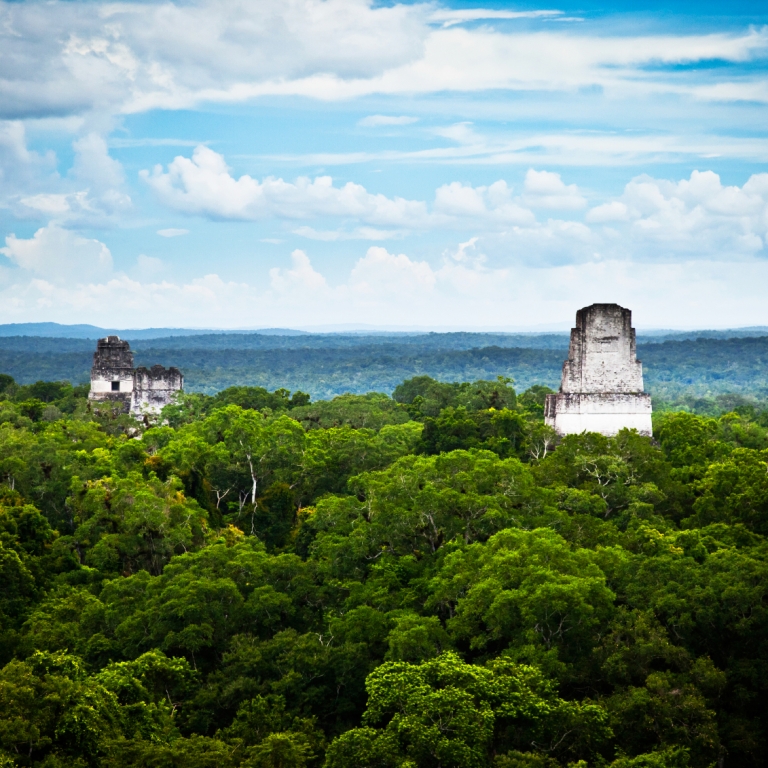Immersion dans la civilisation Maya à Tikal
