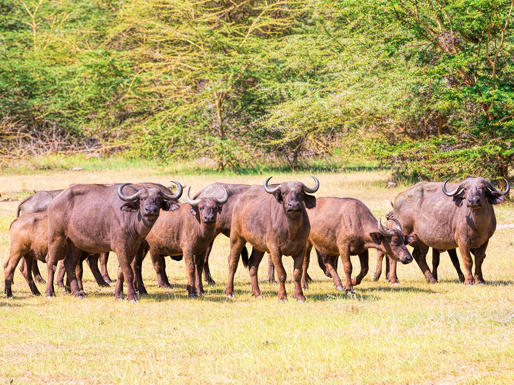 Arrivée en Tanzanie