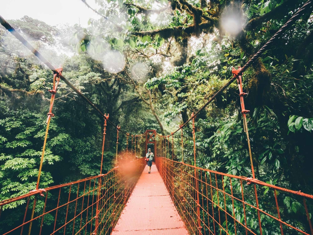 Monteverde et sa forêt de nuages