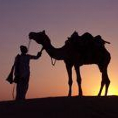 Découverte de Jaisalmer en 4X4 et à dos de chameau