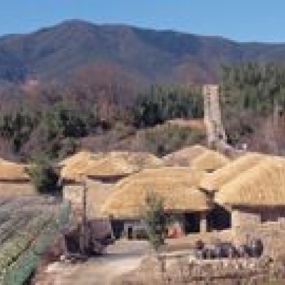 Visit the environmentally friendly farm of Chiiori