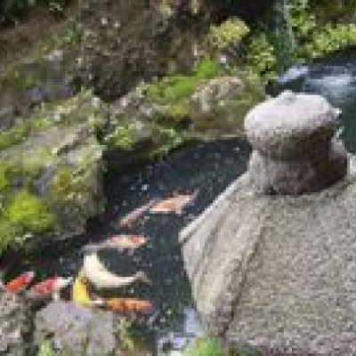 Guided tour of the towns of Takamatsu, Itano, Iya, Kotohira and Matsuyama.