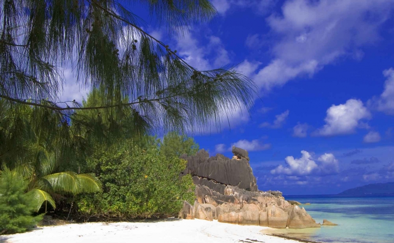 Excursion sur les iles Cousin, Curieuse et Saint Pierre