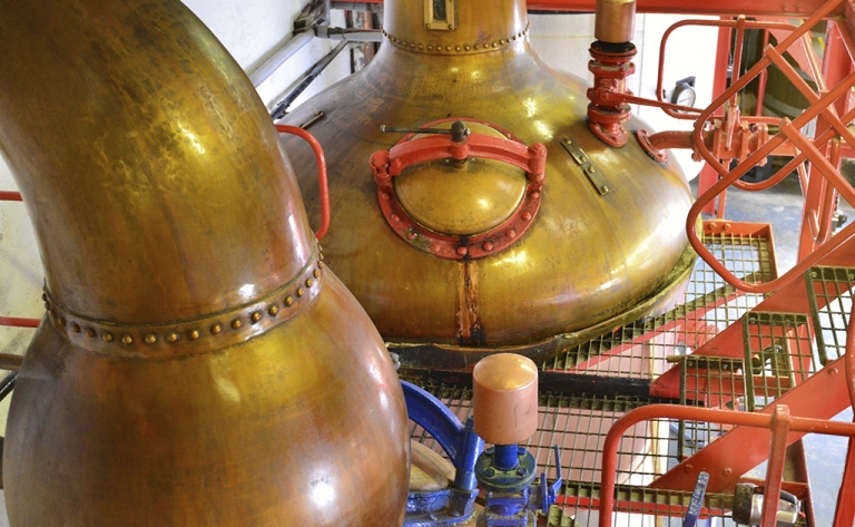 Visite d'une distillerie et dégustation de Tequila