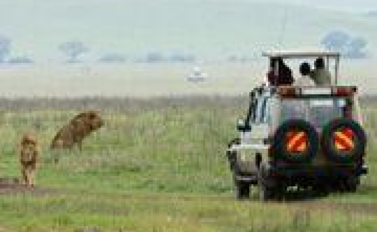 Un safari en 4x4 avec le Likweti Lodge & Sanctuary