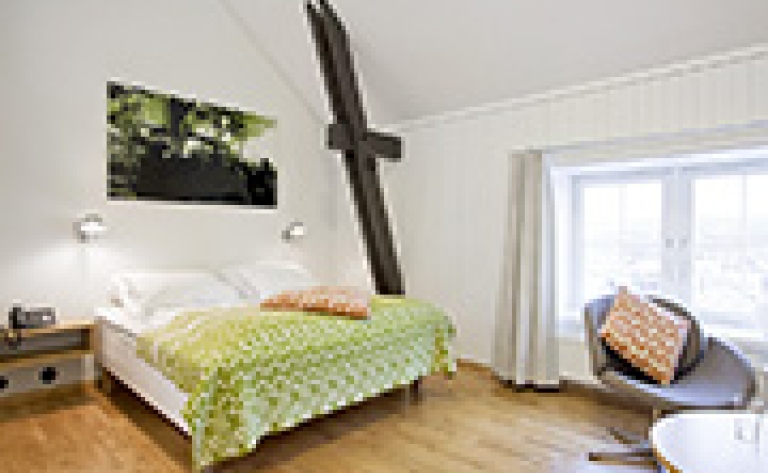 Hotel Roros