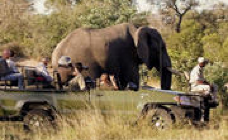 Hotel Sabi Sand game reserve