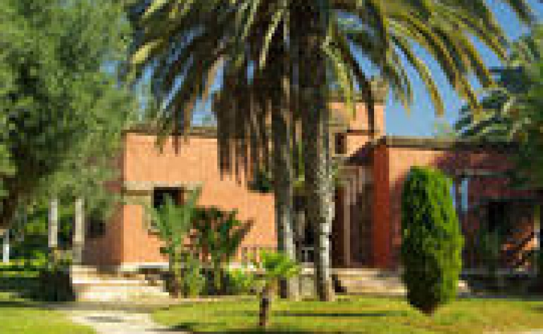 Hotel Lac Langano